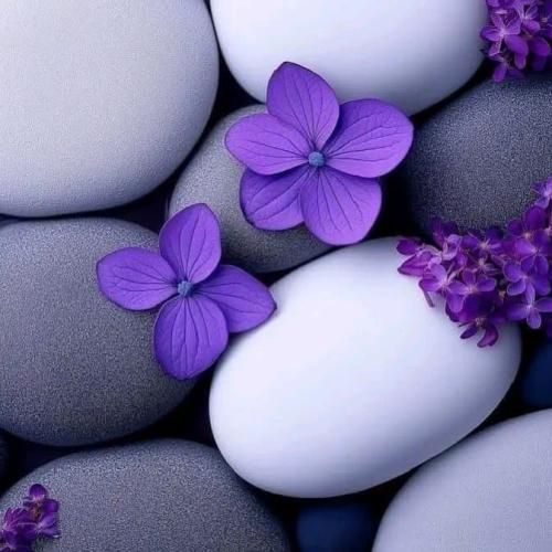 دانلود اهنگ ماندم تو بن بستی که آخرش سیاهیه