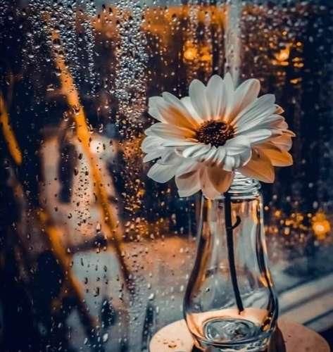 دانلود اهنگ خودت میدونستی چقد دیوونتم بگو اونور دنیا