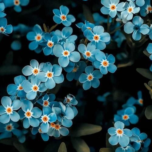 دانلود اهنگ خیابونا به ما اینو کرد دیکته لاشی عین سگ ریخته