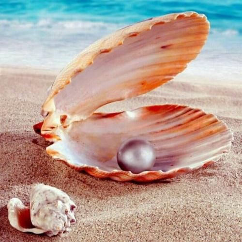 دانلود اهنگ جدید سما خان بنام از پسری خوشم‌ میاد صاحب دین و ایمانه