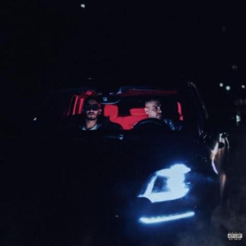 علی پاشا تنها موندم