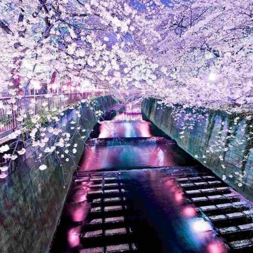 دانلود اهنگ یه ویس کل که اسمم بچر دلم تنگ بیه ارای صدات