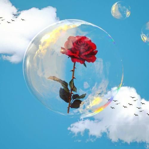 دانلود اهنگ جونمو نثار کردم قربون یار کردم