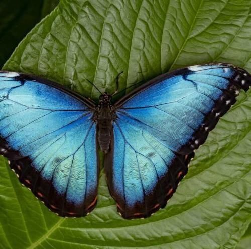 دانلود اهنگ اندازه شاهنامس بدبختیام بنزین ریختم رو خودم