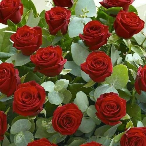 دانلود اهنگ مال من نمیشی بدرود اگه الان جا منه هرکی