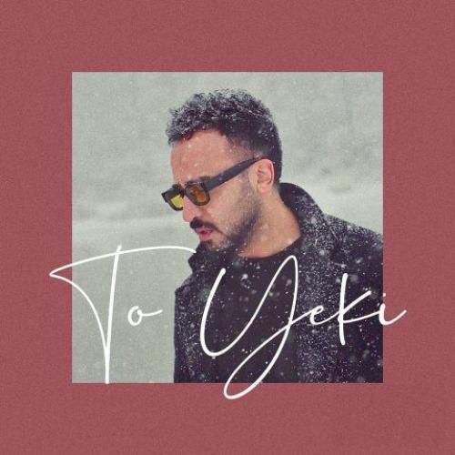 دانلود اهنگ جدید پدرام شانه ساز بنام تو یکی