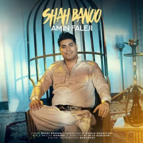 دانلود اهنگ جدید امین فالجی بنام شاه بانو