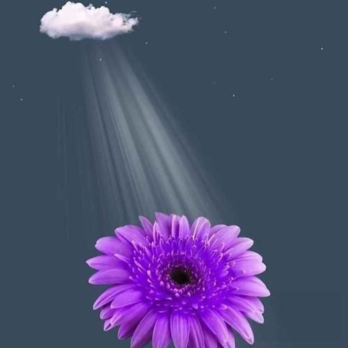  چه میکنه دختر بس نمیکنه دختر