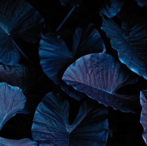 دانلود اهنگ پشت میله مژه هاتم بی ملاقاتی کف ایران زدم