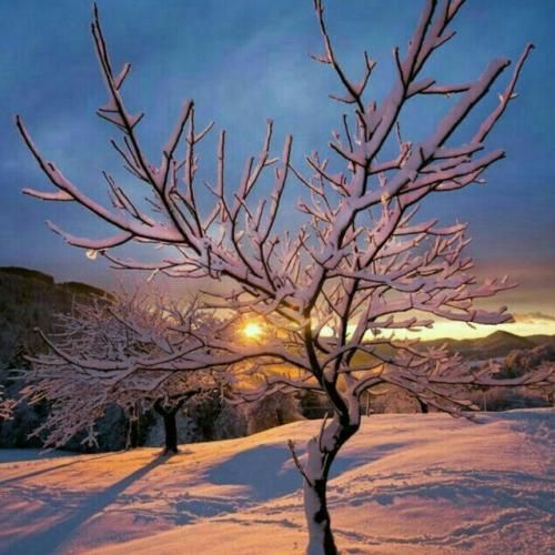 دانلود اهنگ بهش بگید دیگه نمیخوادت دلم به روز صد تا قرص