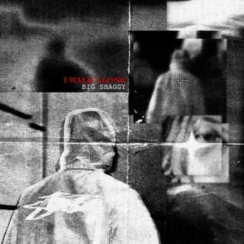 دانلود اهنگ جدید بیگ شگی بنام آی واک الون