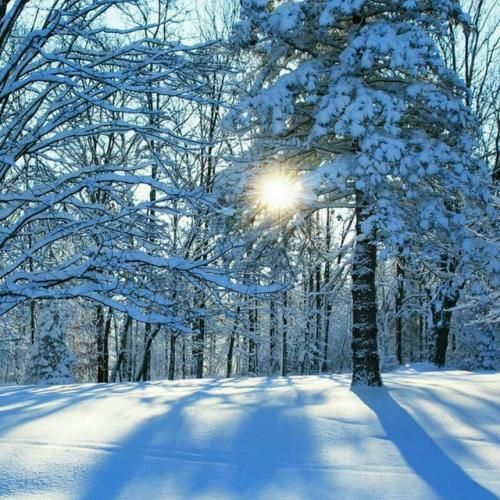 دانلود اهنگ هرزاله گیانه هرزاله بفریک باریوه کس نیه بیماله