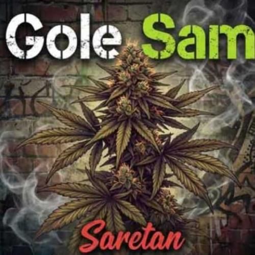 دانلود اهنگ جدید آرش سرطان بنام گل سم