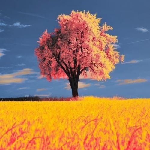 دانلود اهنگ تو استایلم پی زیربغل ماره خودش رو استیج