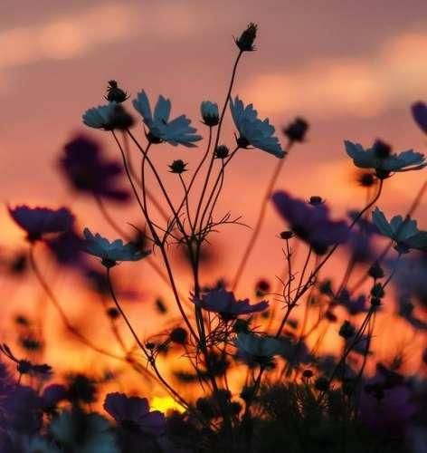 دانلود اهنگ بری میمونم چشم به راهت صبح تا شب