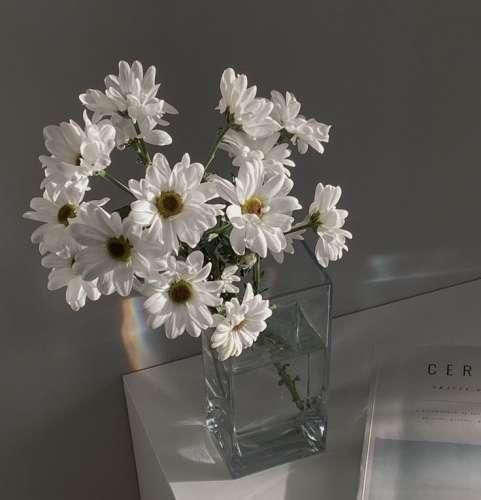  ﭘﻴﺪا ﻛﺮدم آدﻣﺸﻮ ﺑﺎ ﺗﻮ ﻣﻴﺮم ﺗﺎ ﺗﻬﺸﻮ