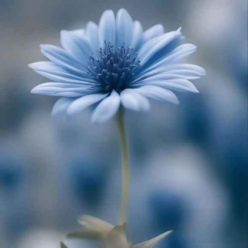 دانلود اهنگ همه رو دور انداختم ولی تو رو نه دور همه خط کشیدم