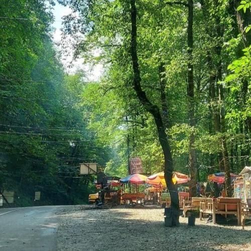  رنگ چشات عسل طعم لبت عسل