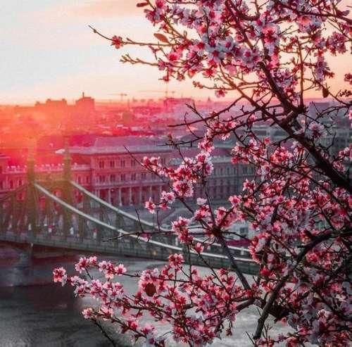  یهو زد بوى برگا خیس بعد دونه برفا ریخت