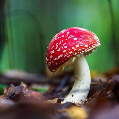  بگو به زور نگام کن خوب بشه زخم پاره