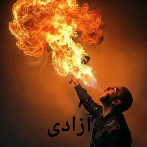 فدایی آزادی