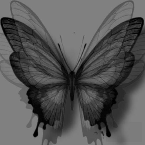 دانلود اهنگ وقتی بهت میگم مراقب خودت باش یعنی میمیرم