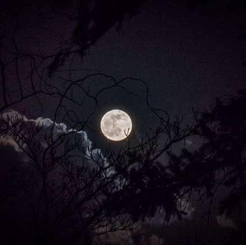 دانلود اهنگ به ما که رسید بد شد تلخ شد سخت شد