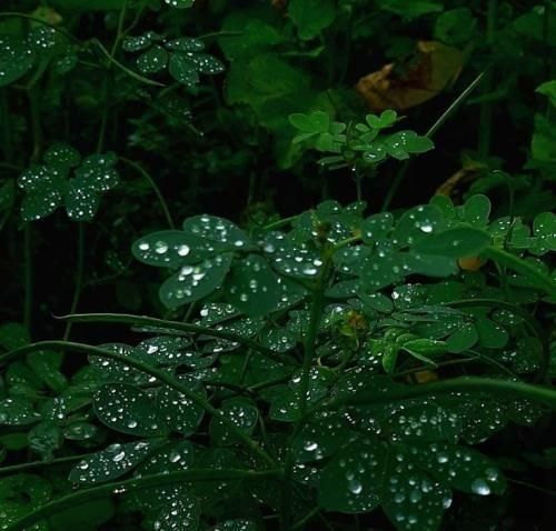 دانلود اهنگ چشمت سیاه بود مثل آیندمون مثل ایران بود