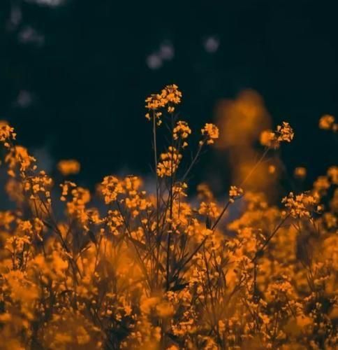 دانلود اهنگ ته قصه شد حس ما سرد من مودیو میشناسی صفره