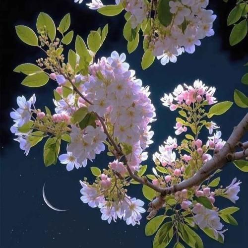 دانلود اهنگ با اینکه نبودی با من خوب همه حرفاتو یادم موندش