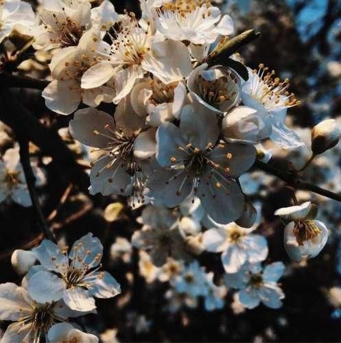 دانلود اهنگ باید خوب باشی بام باهات بودم بد