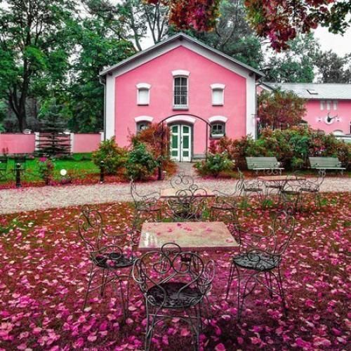 دانلود اهنگ روی موندنت ندید بستم شدی خارج