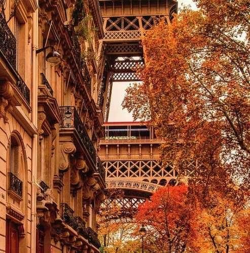  نشدنیه فراموش کردنت نمیشه دل کند