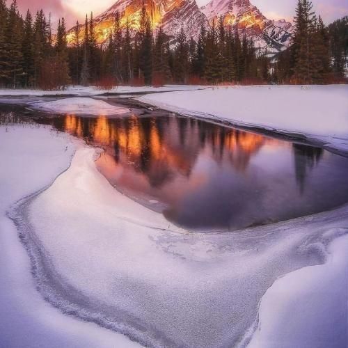 دانلود اهنگ همش تو فکرمه بزارم برم حق بدید یه بارم به من