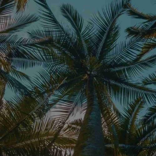 دانلود اهنگ دو تا جلو دوتا عقب پلی آغاسی سنگی از معدن درد