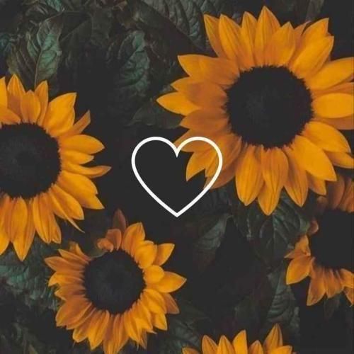 دانلود اهنگ اومد و دستمو گرفت یه دفعه زد زیر دلش