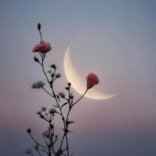 دیشب به خدا خمار بودم سرگرم دو چشم _ اینستایی