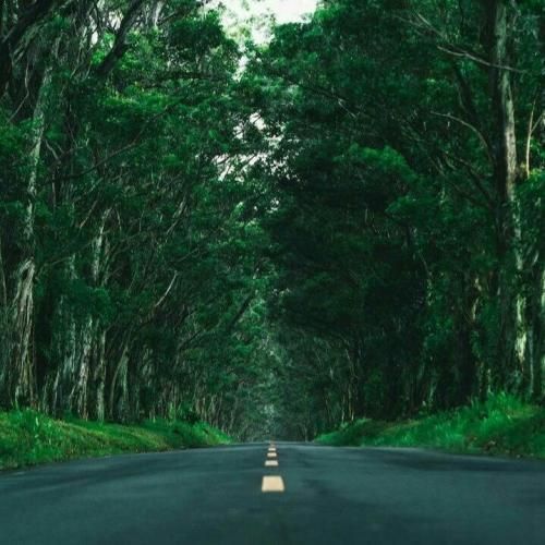 خودت به خودت زدی من غول آخرم تو آخر خط