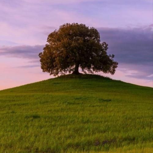 دانلود اهنگ دای چه کنم ول نکنه خین و من ای دل نکنه