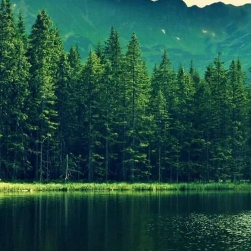 دانلود ریمیکس وقتی که من غرق میشدم تو دریا