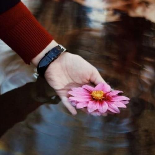 دانلود اهنگ دارم سرت از خودم کلی فحش میخورم