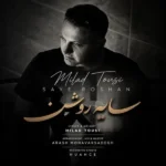 سایه روشن میلاد طوسی سایه روشن میلاد طوسی